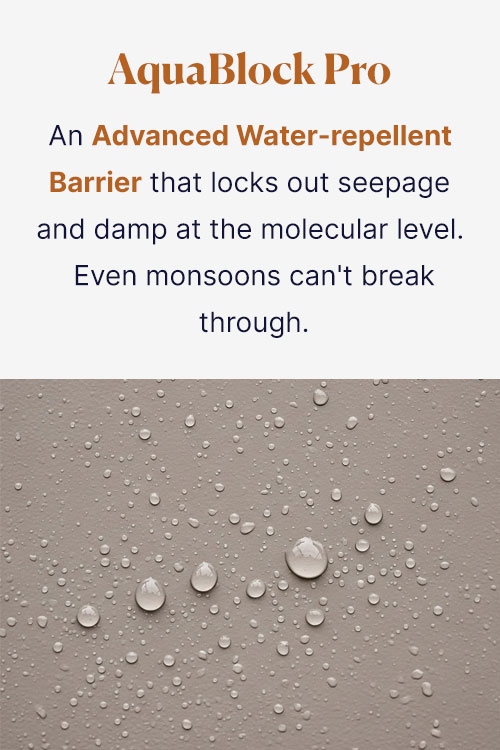 Agaram Paints Pvt Ltd